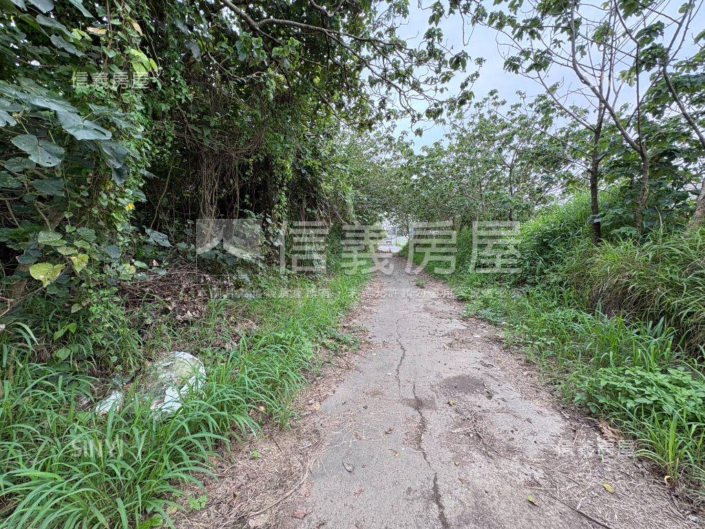 １８５１坪大坑街臨路農地房屋室內格局與周邊環境