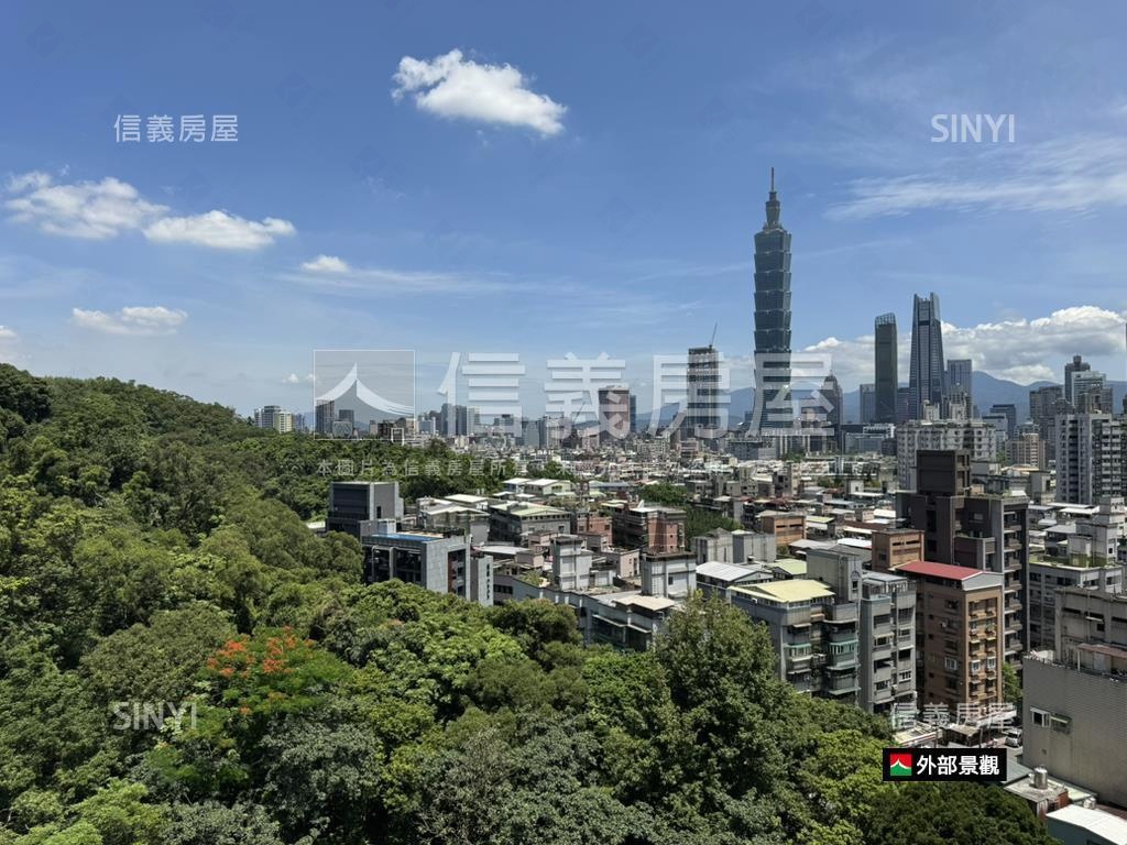 信義文華山景１０１房屋室內格局與周邊環境