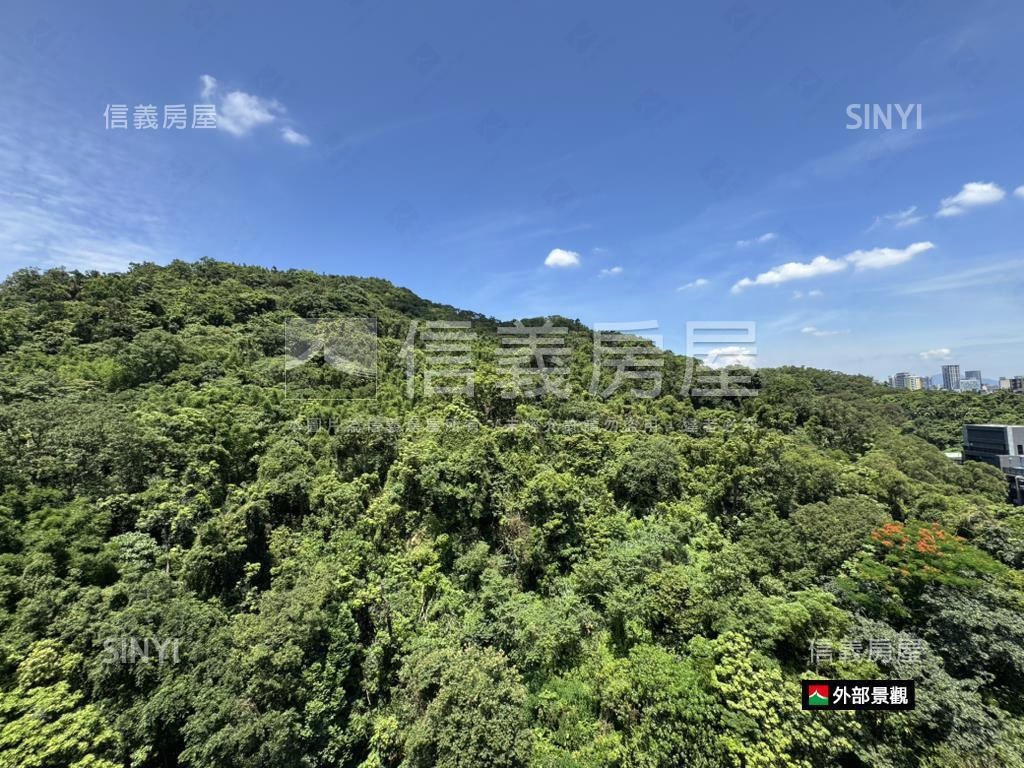 信義文華山景１０１房屋室內格局與周邊環境