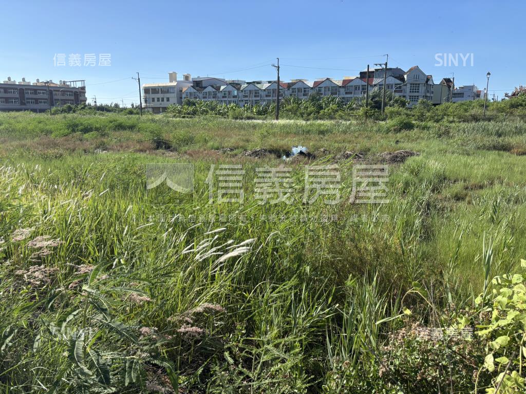 布袋約一千九百坪住宅用地房屋室內格局與周邊環境