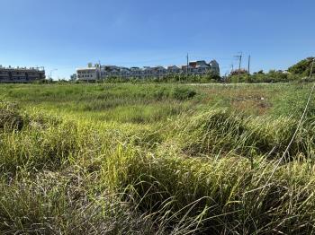 布袋約一千九百坪住宅用地
