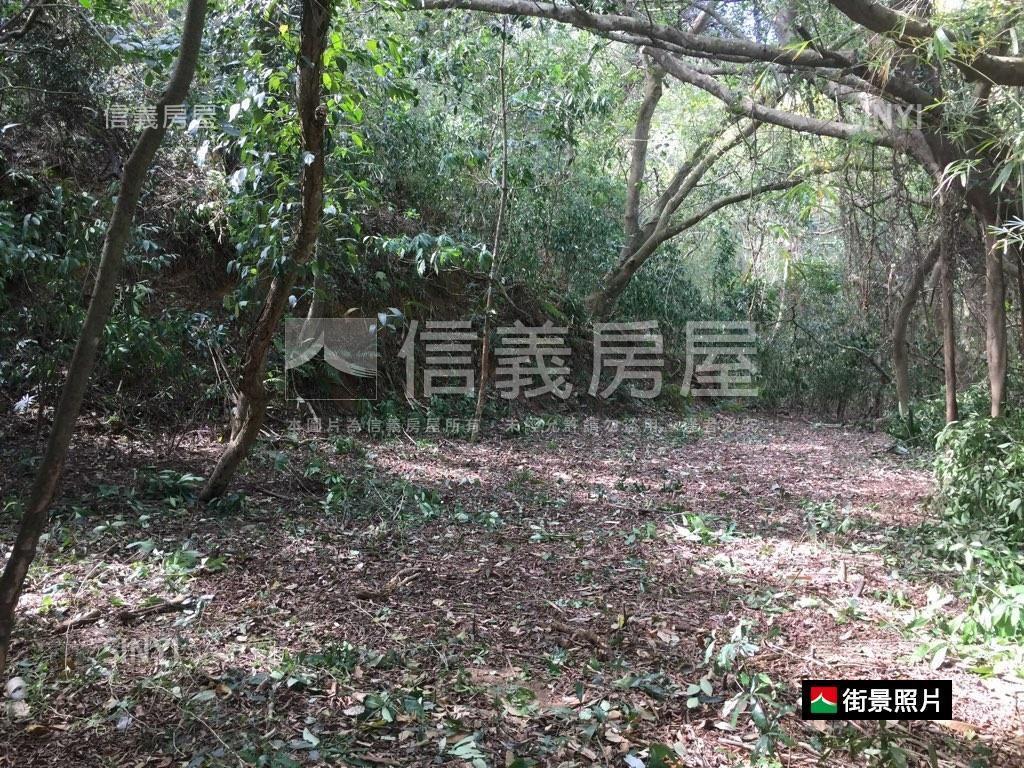 專任苗栗鴨母坑七千坪土地房屋室內格局與周邊環境