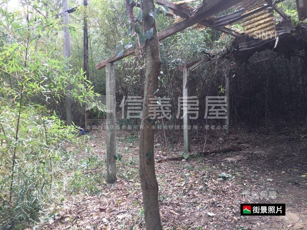 專任苗栗鴨母坑七千坪土地房屋室內格局與周邊環境