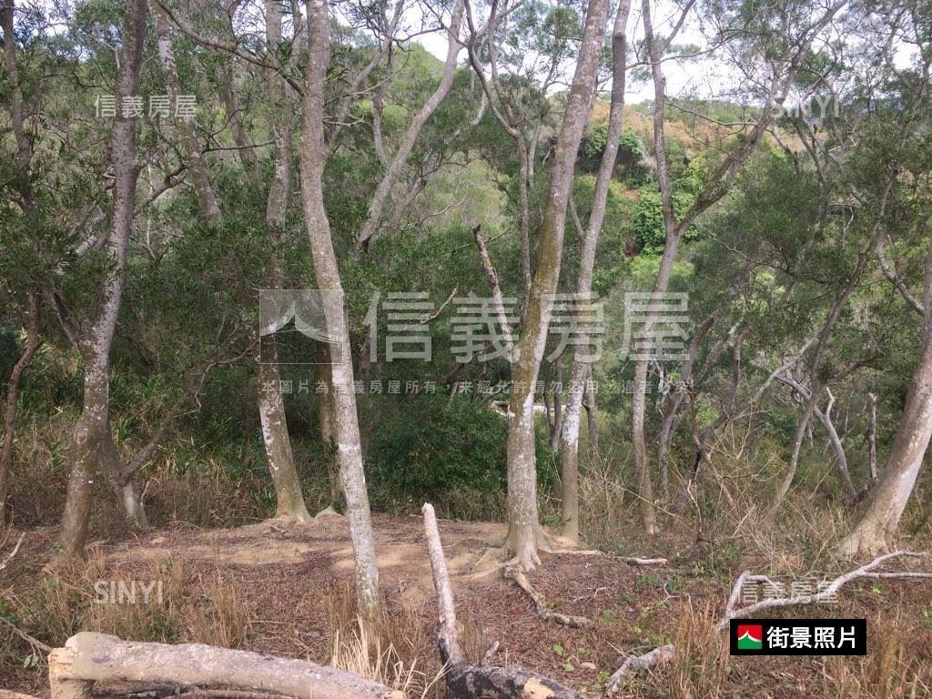 專任苗栗鴨母坑七千坪土地房屋室內格局與周邊環境