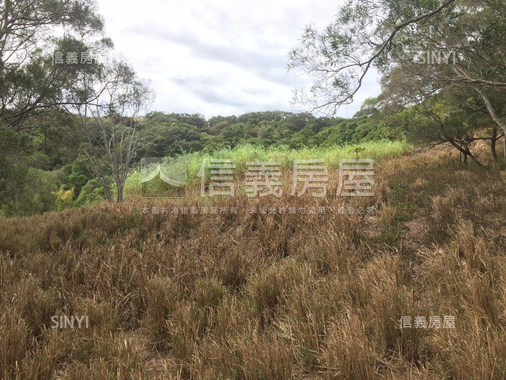 專任苗栗鴨母坑七千坪土地房屋室內格局與周邊環境