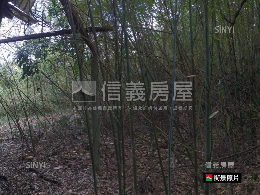 專任苗栗鴨母坑七千坪土地房屋室內格局與周邊環境