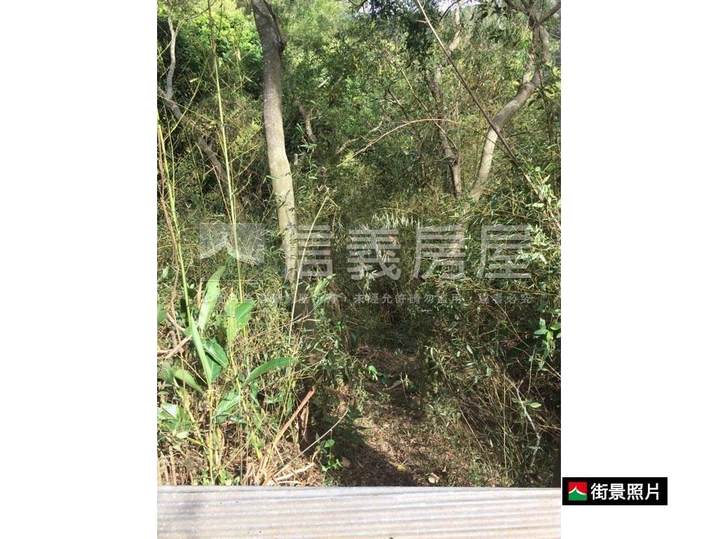 專任苗栗鴨母坑七千坪土地房屋室內格局與周邊環境