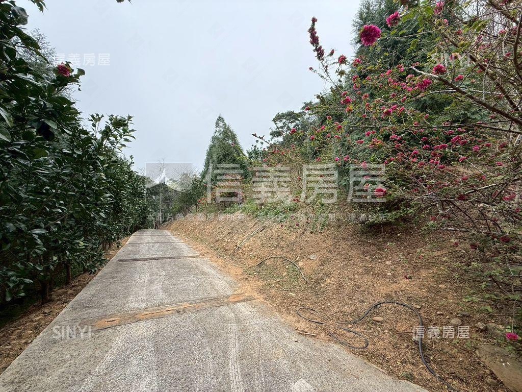 苗栗西湖約１０２０坪農地房屋室內格局與周邊環境