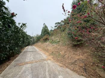 苗栗西湖約１０２０坪農地