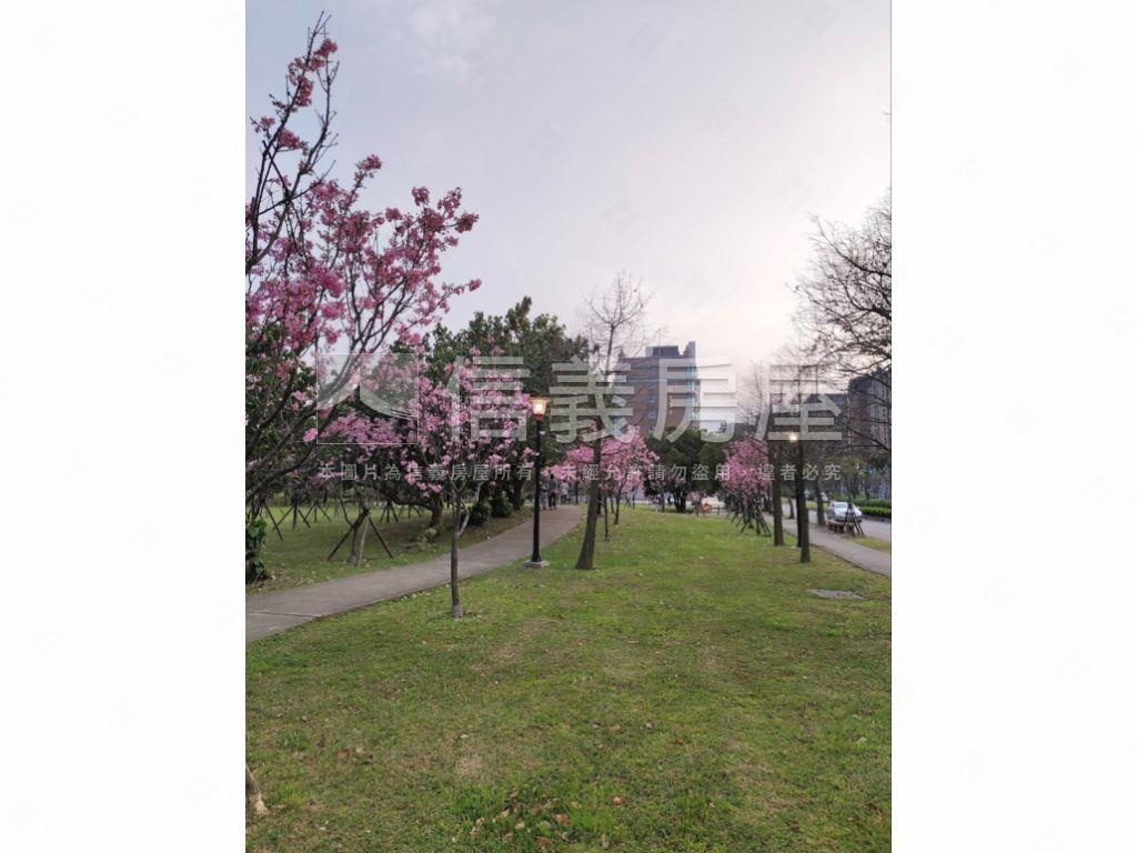 首席優質３房房屋室內格局與周邊環境