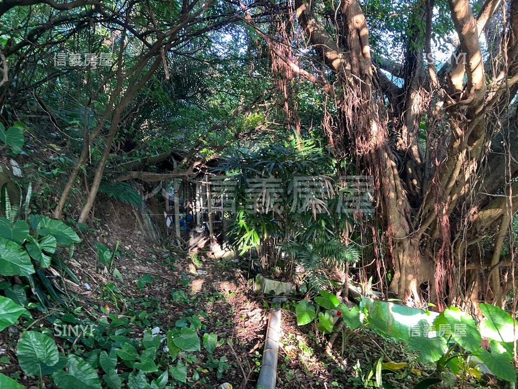 指南宮大雄寶殿旁風景地房屋室內格局與周邊環境