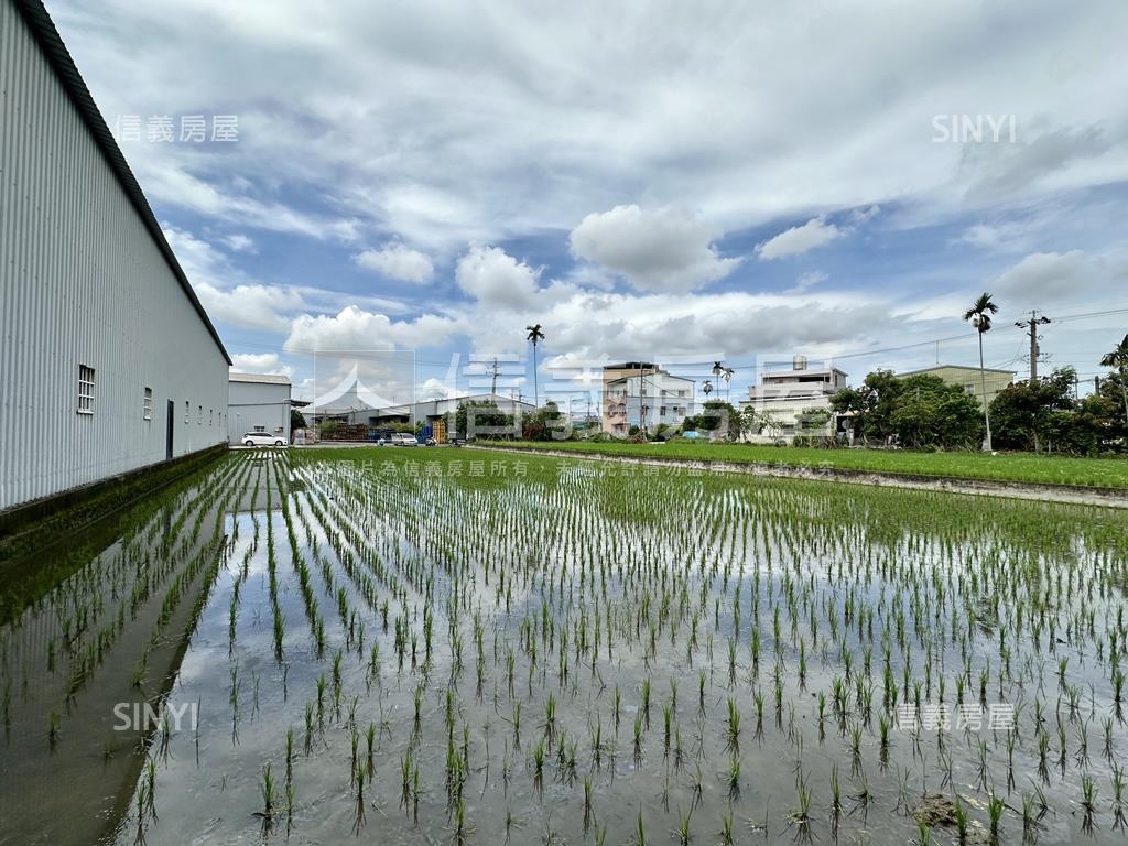 近水湳低單價大地坪透天房屋室內格局與周邊環境