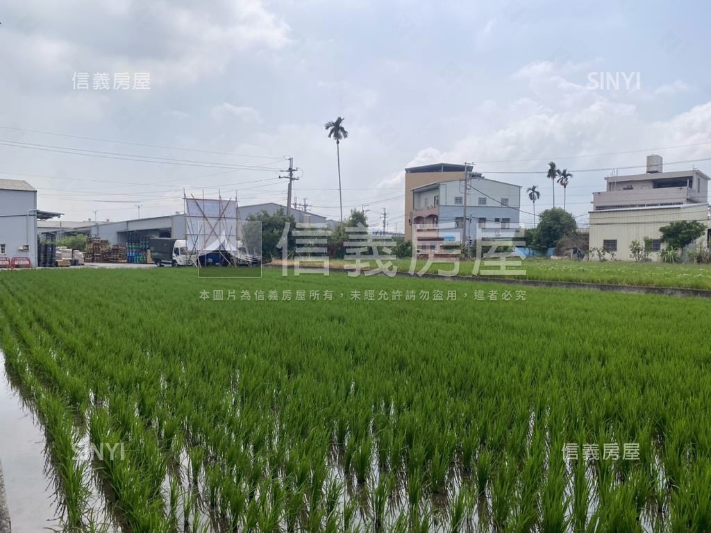 近水湳低單價大地坪透天房屋室內格局與周邊環境