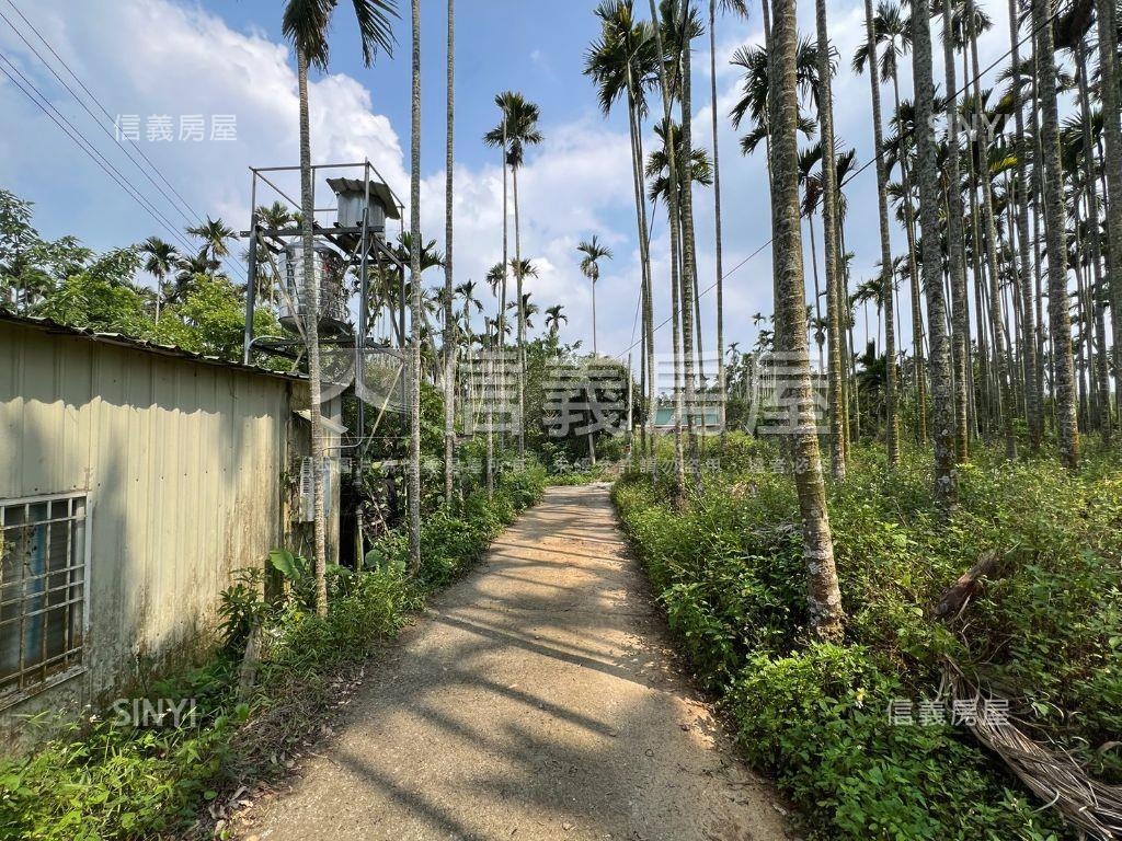 南投名間千坪土地房屋室內格局與周邊環境