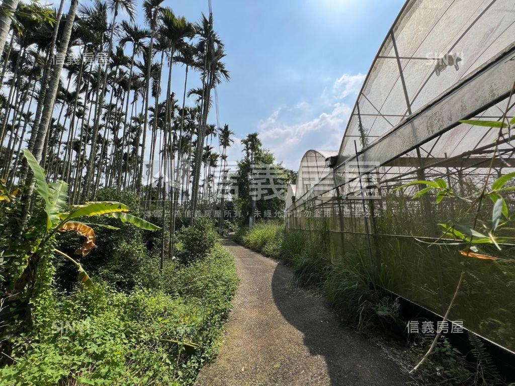 南投名間千坪土地房屋室內格局與周邊環境