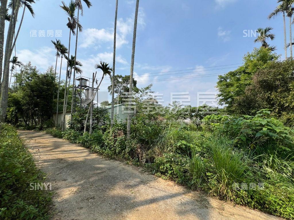 南投名間千坪土地房屋室內格局與周邊環境