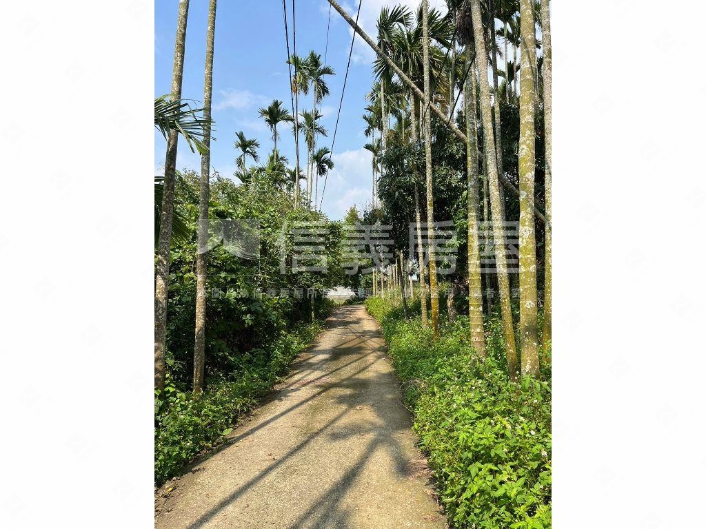 南投名間千坪土地房屋室內格局與周邊環境