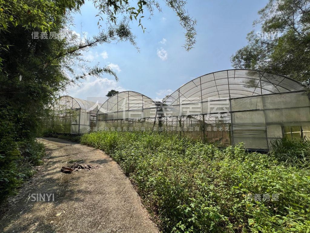 南投名間千坪土地房屋室內格局與周邊環境