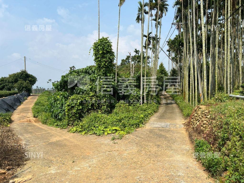 南投名間千坪土地房屋室內格局與周邊環境