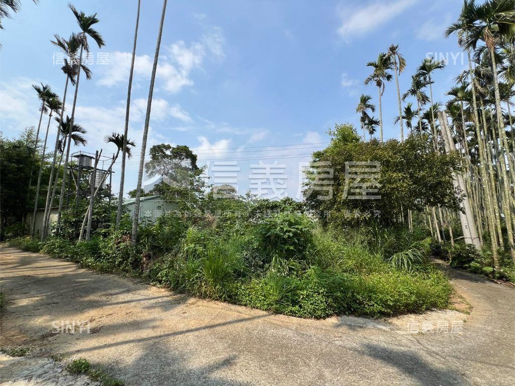 南投名間千坪土地房屋室內格局與周邊環境