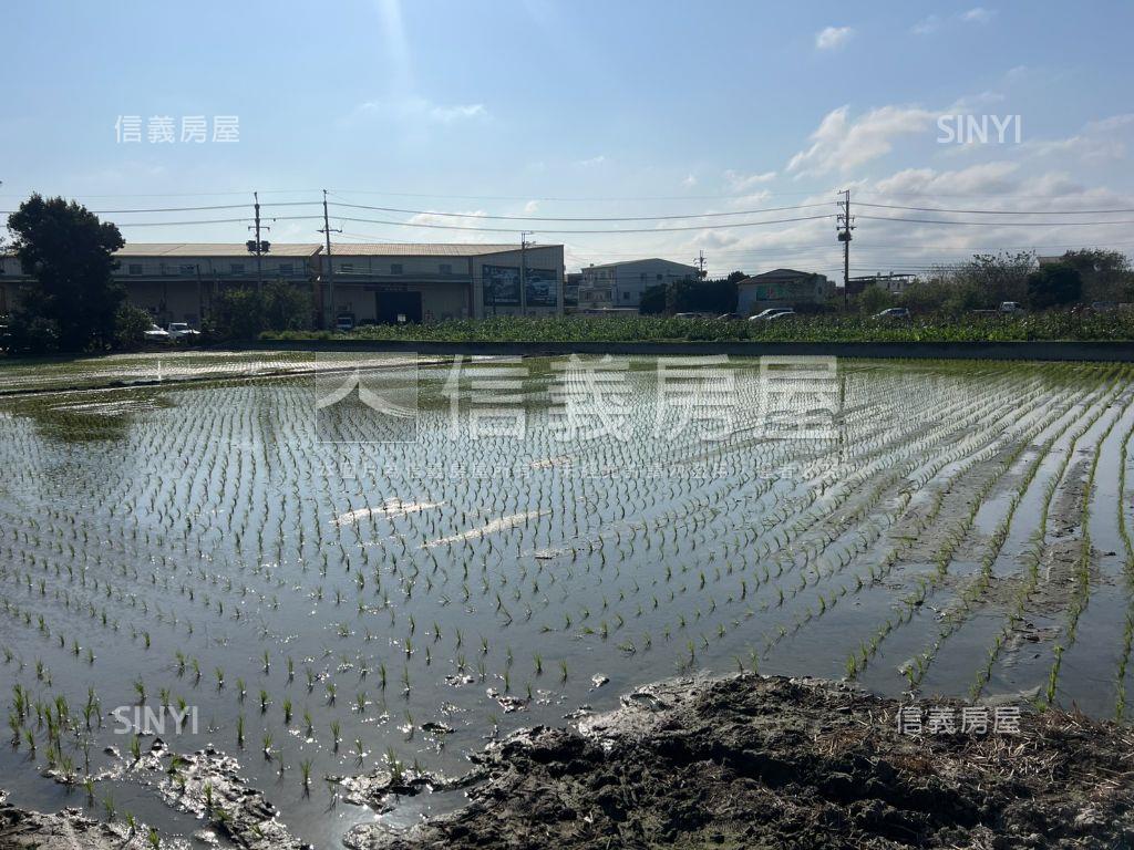 大雅格局方正農舍房屋室內格局與周邊環境