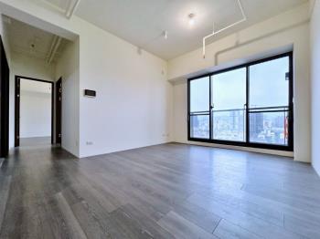 國泰ＰＬＵＳ視野三房平車