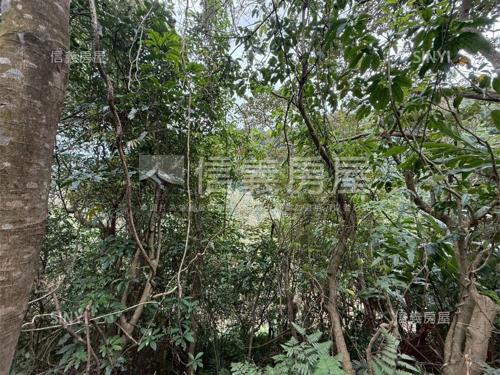 大武崙工業區旁土地房屋室內格局與周邊環境