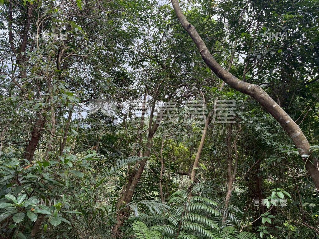 大武崙工業區旁土地房屋室內格局與周邊環境