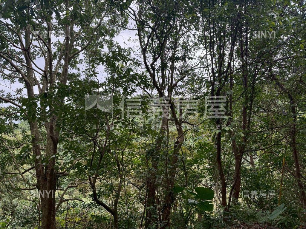 大武崙工業區旁土地房屋室內格局與周邊環境