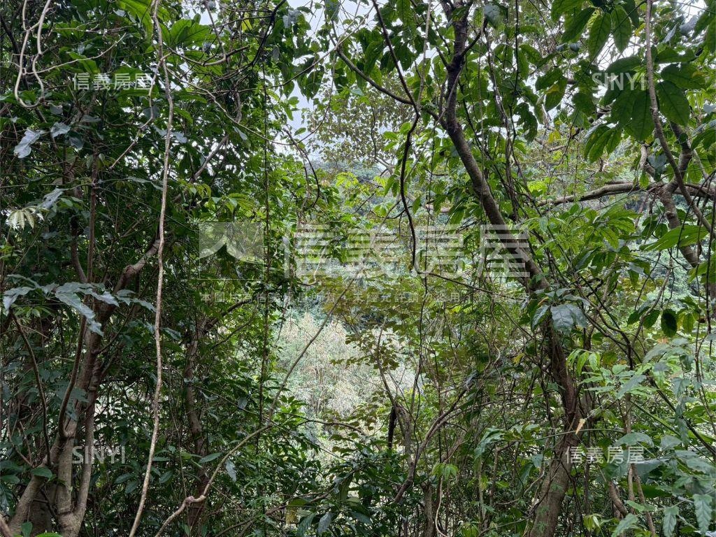 大武崙工業區旁土地房屋室內格局與周邊環境