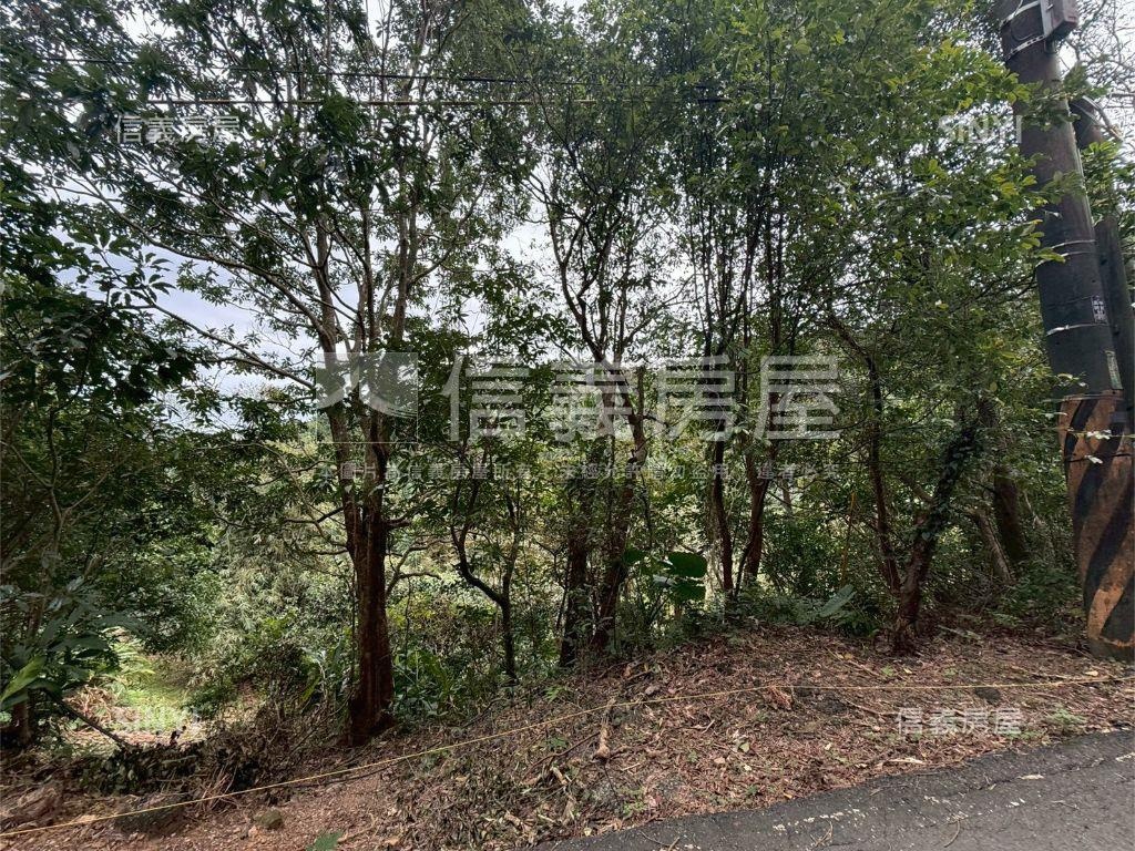 大武崙工業區旁土地房屋室內格局與周邊環境