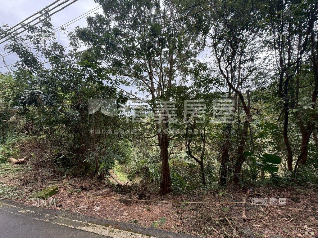 大武崙工業區旁土地房屋室內格局與周邊環境