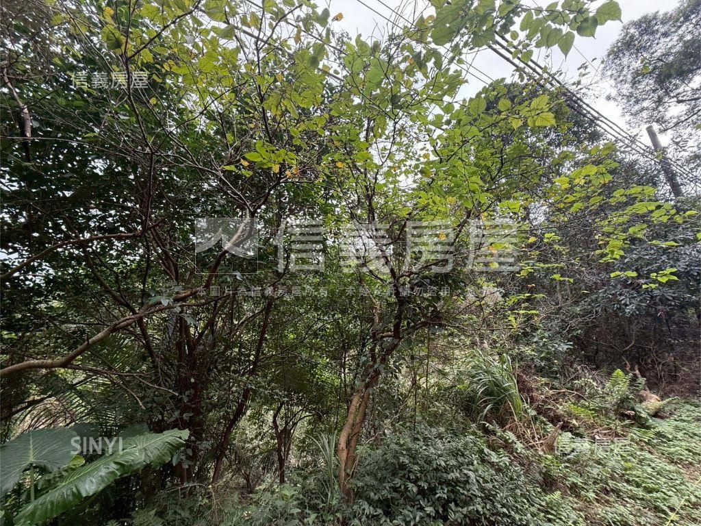 大武崙工業區旁土地房屋室內格局與周邊環境