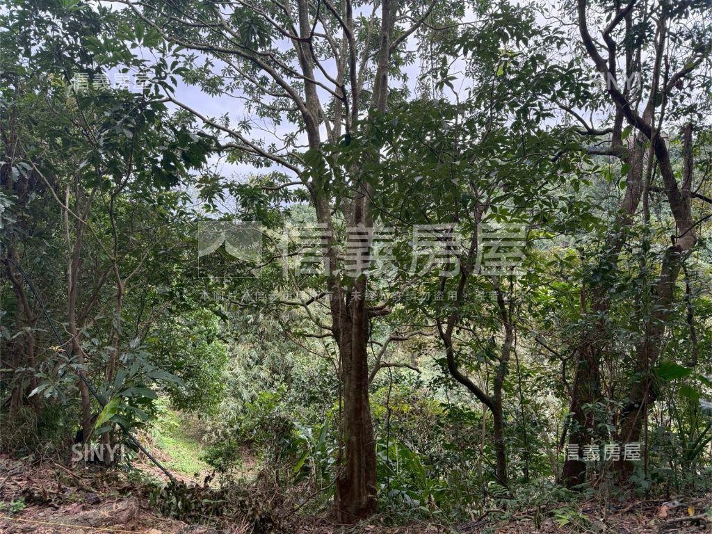 大武崙工業區旁土地房屋室內格局與周邊環境