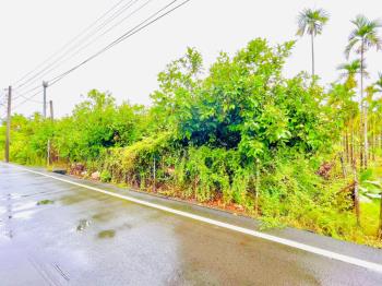 屏東內埔土地