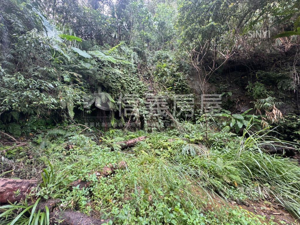 峨嵋土地４房屋室內格局與周邊環境