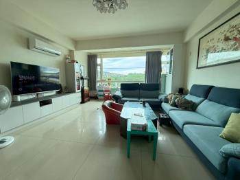 新農街邊間電梯透天