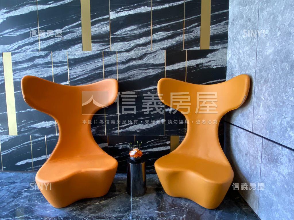 國聚大坪數雙平車視野好房屋室內格局與周邊環境