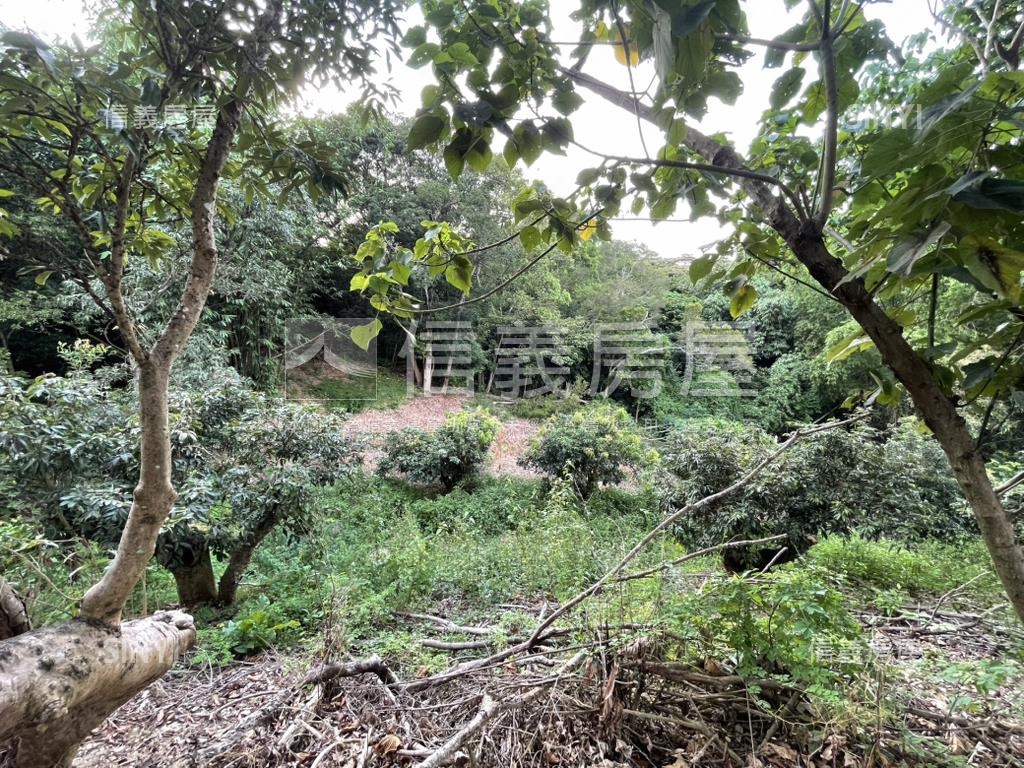 【合法開墾】休閒美地Ｂ房屋室內格局與周邊環境