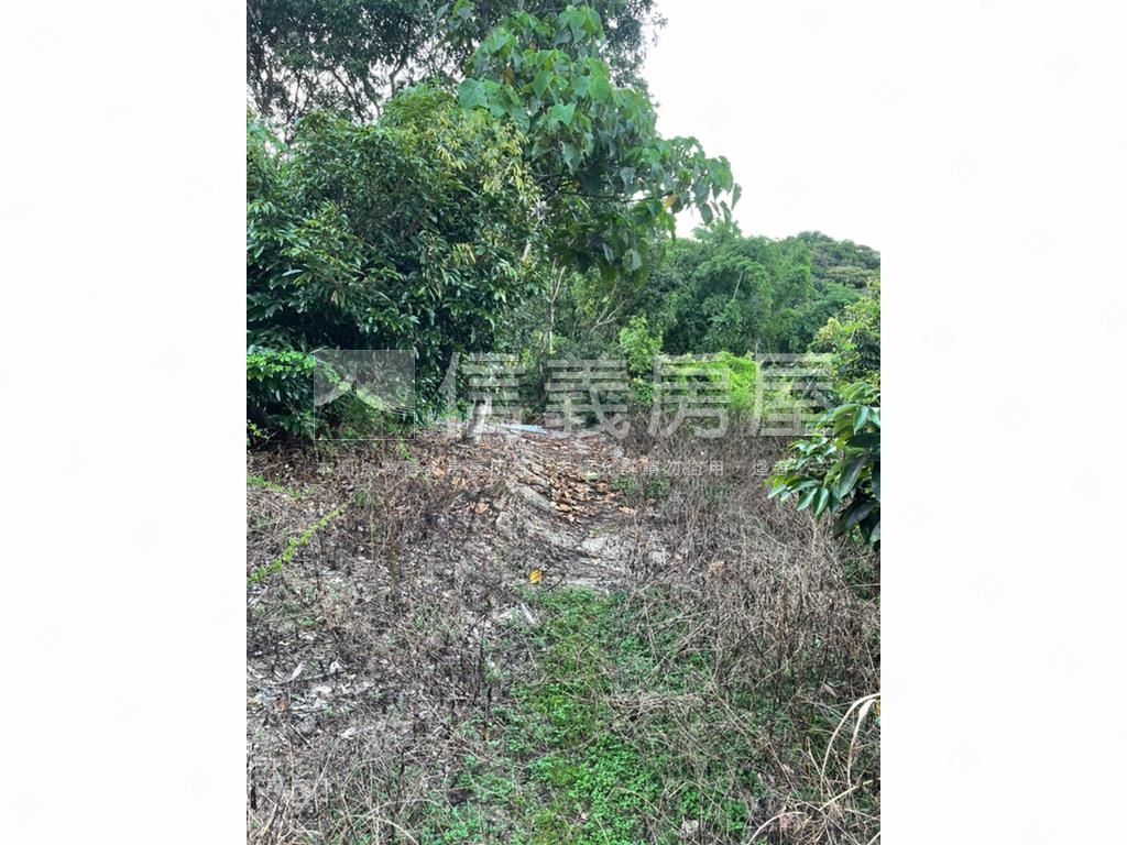 【合法開墾】休閒美地Ｂ房屋室內格局與周邊環境