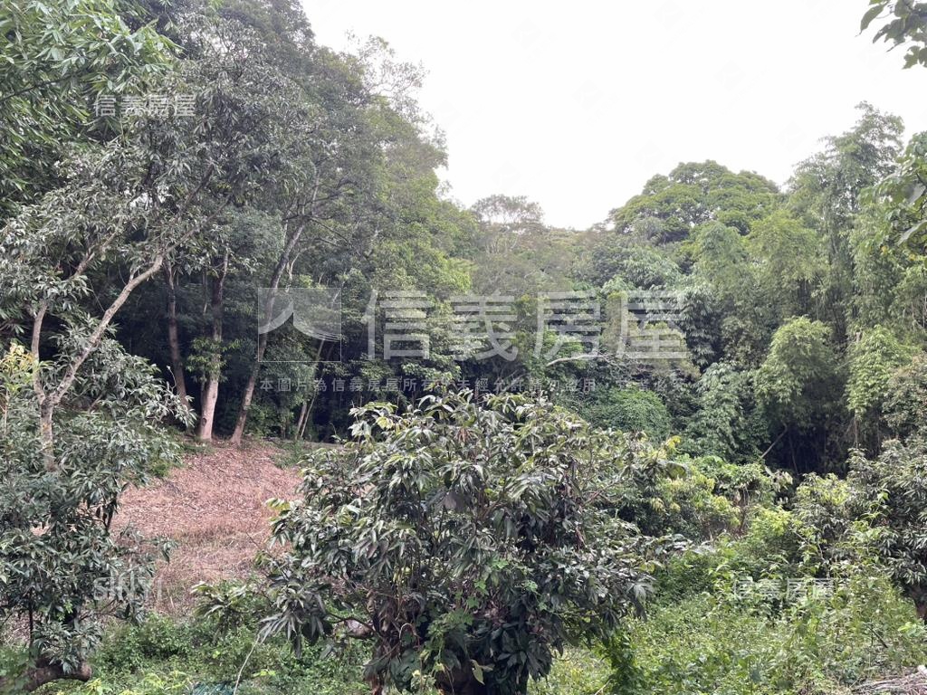 【合法開墾】休閒美地Ｂ房屋室內格局與周邊環境