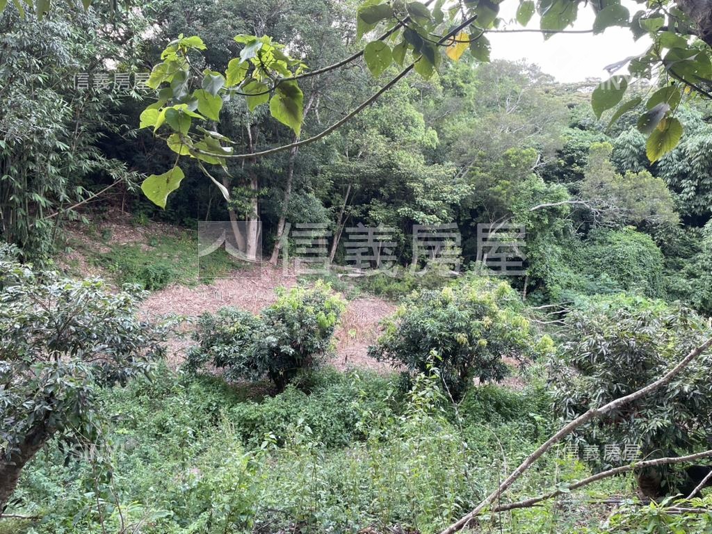 【合法開墾】休閒美地Ｂ房屋室內格局與周邊環境