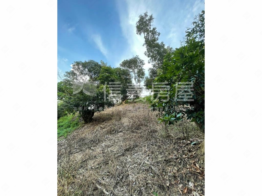 【合法開墾】休閒美地Ｂ房屋室內格局與周邊環境