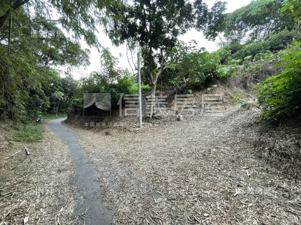 【合法開墾】休閒美地Ｂ房屋室內格局與周邊環境