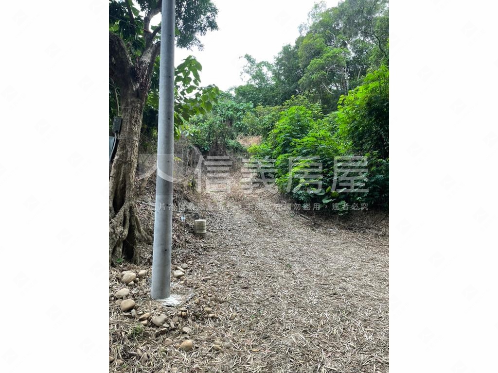 【合法開墾】休閒美地Ｂ房屋室內格局與周邊環境
