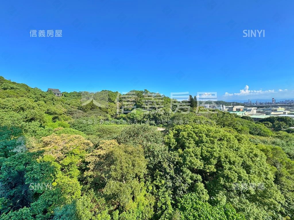 葛里法⚜️銀駒山景豪邸房屋室內格局與周邊環境