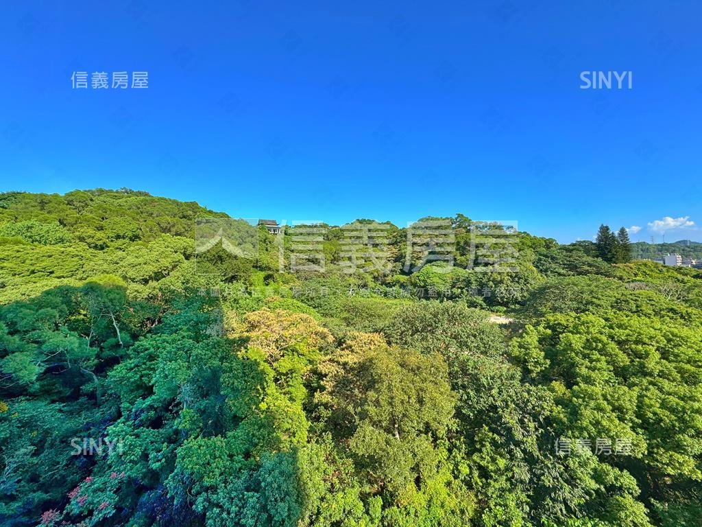 葛里法⚜️銀駒山景豪邸房屋室內格局與周邊環境