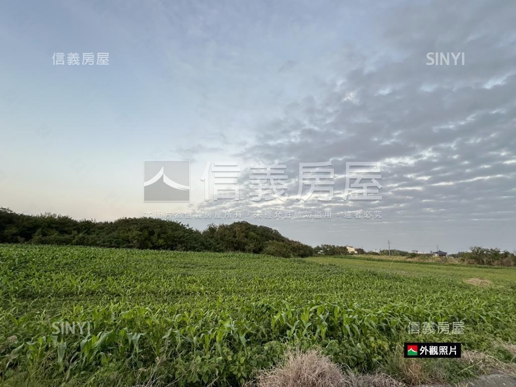 近台１７大面寬臨路土地房屋室內格局與周邊環境