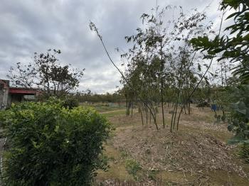 大溪仁愛黃金農地Ｂ