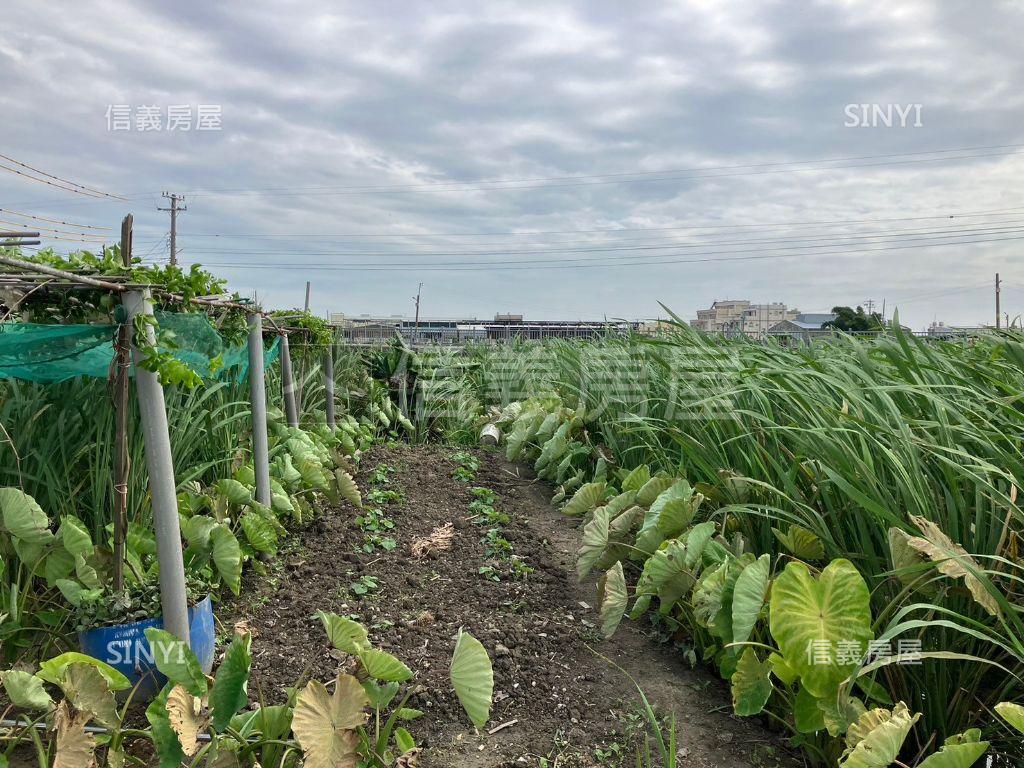 近鹿和路優質方正土地房屋室內格局與周邊環境